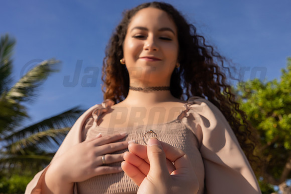 170-Paula-Proposal