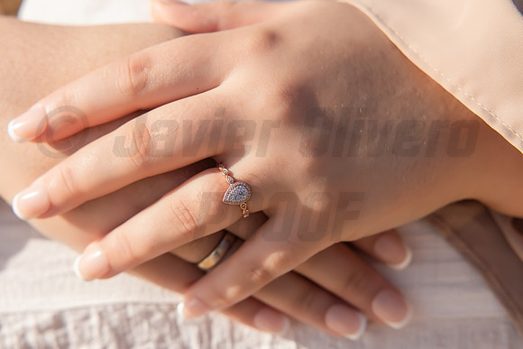 180-Paula-Proposal