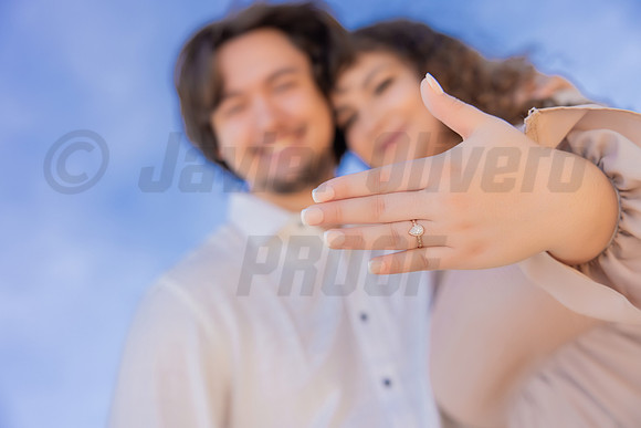 201-Paula-Proposal