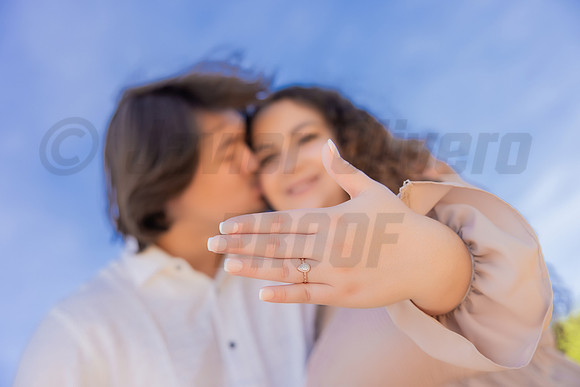 206-Paula-Proposal