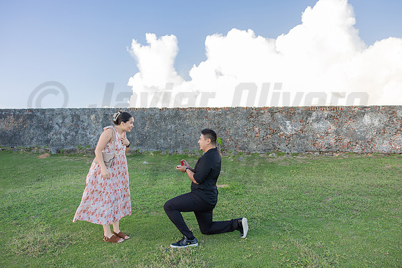010-Jesus Proposal