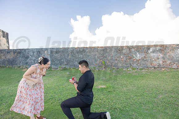 012-Jesus Proposal
