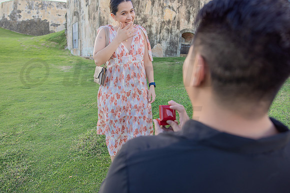 017-Jesus Proposal