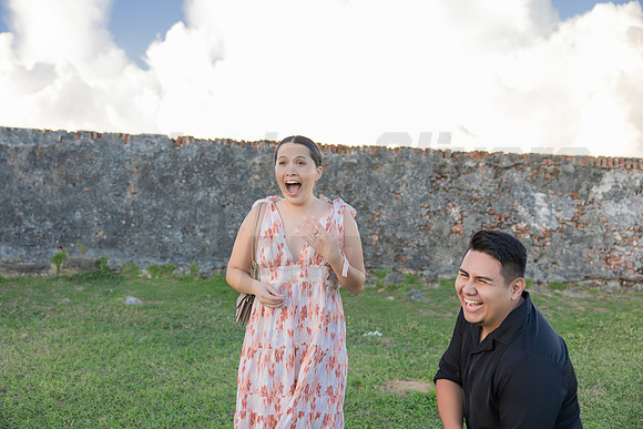 042-Jesus Proposal