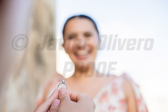 094-Jesus Proposal