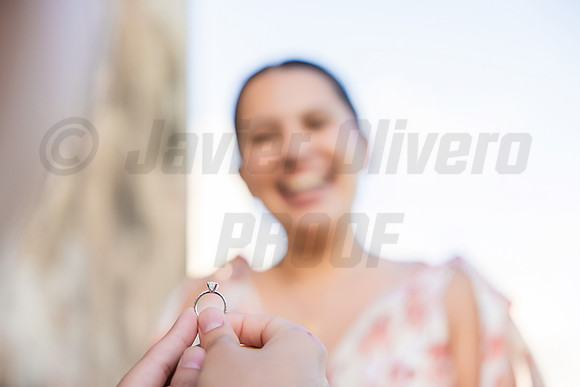 096-Jesus Proposal