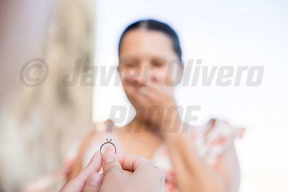 098-Jesus Proposal