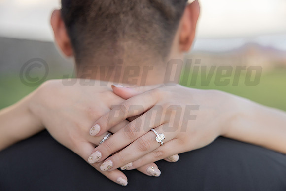 106-Jesus Proposal