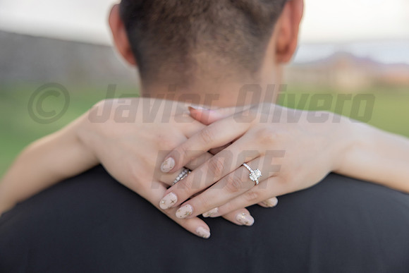 108-Jesus Proposal