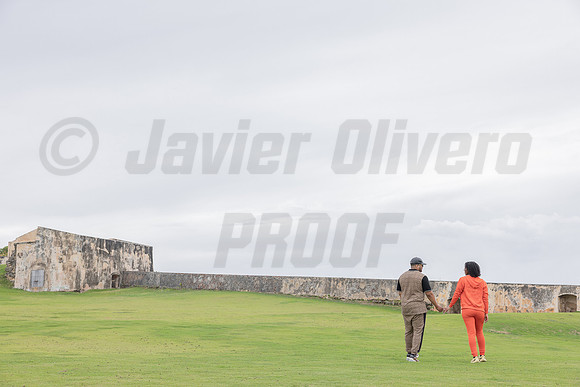 215-Julian proposal