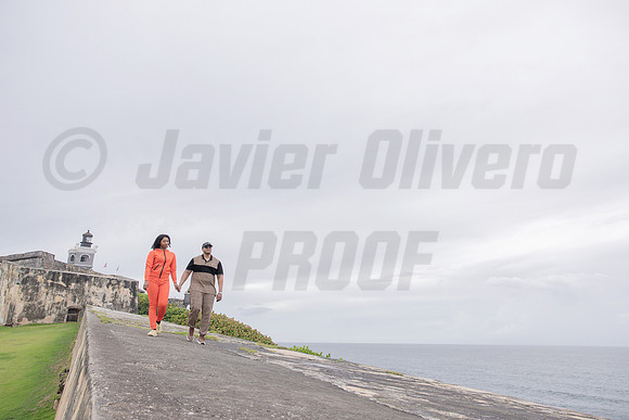 230-Julian proposal