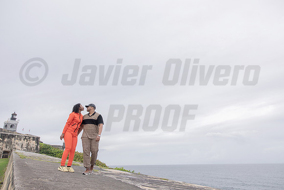 233-Julian proposal