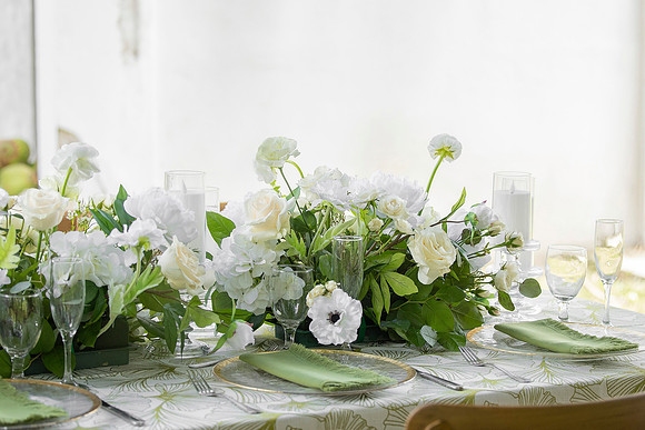 136-Vieques Weddings and Events