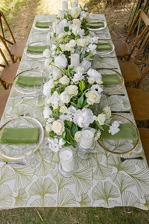 156-Vieques Weddings and Events