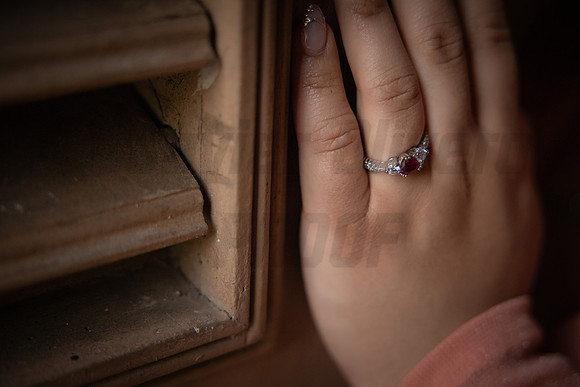 227-Daniel Proposal