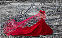 -Bridal Shoot West PR-8