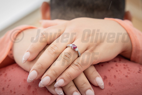 313-Daniel Proposal