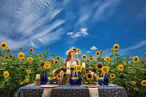 025-Girasoles