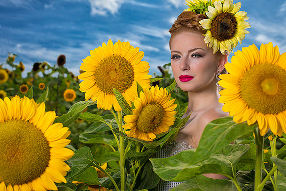 085-Girasoles