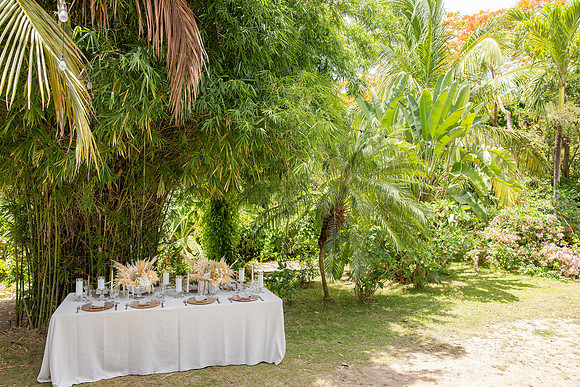 044-Vieques Weddings and Events
