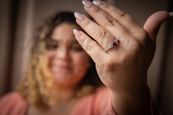 244-Daniel Proposal