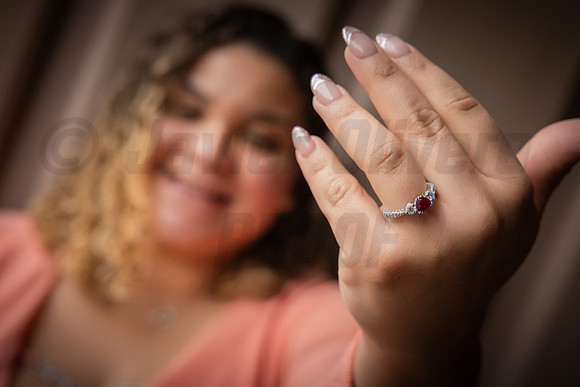 245-Daniel Proposal