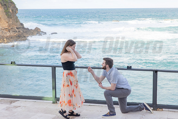 129-Connor Proposal