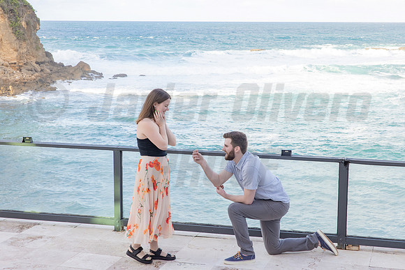 130-Connor Proposal