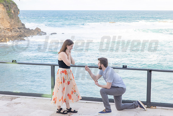 131-Connor Proposal