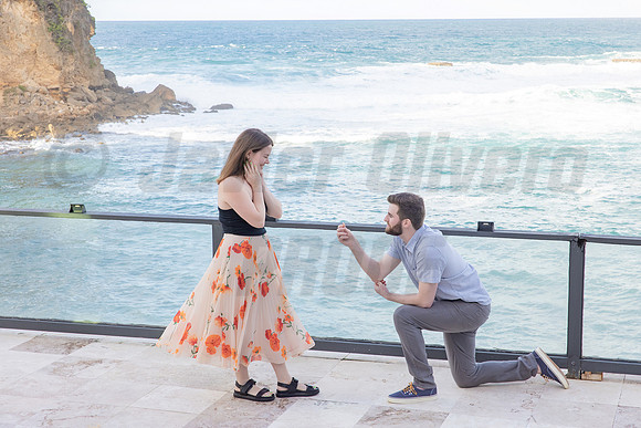 132-Connor Proposal