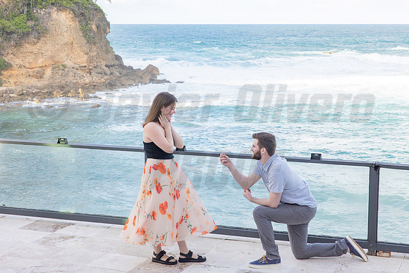 133-Connor Proposal