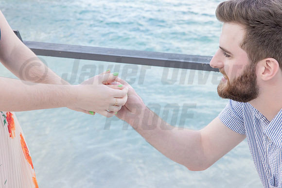 136-Connor Proposal