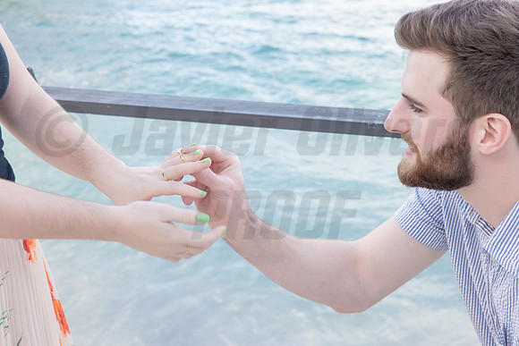 137-Connor Proposal