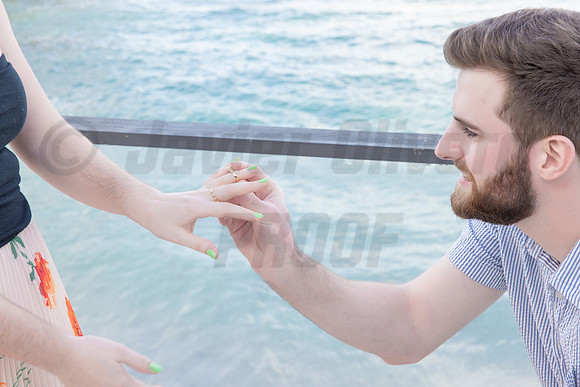 138-Connor Proposal