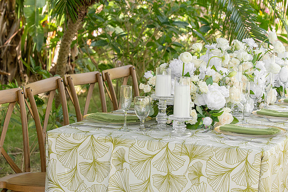 153-Vieques Weddings and Events