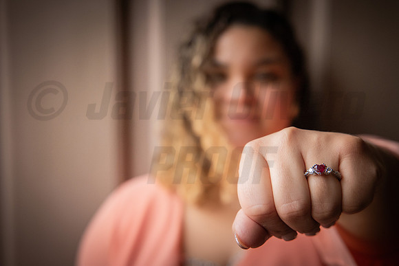 250-Daniel Proposal