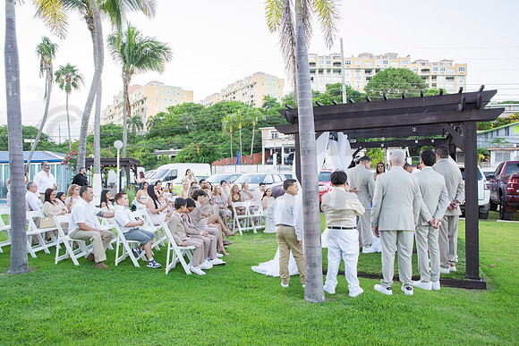 366-Erica Luis Wedding