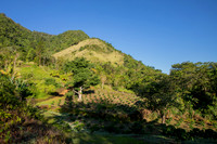 008-Hacienda Moraika