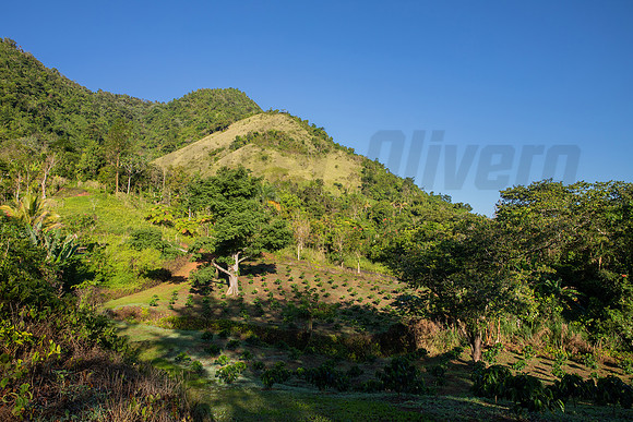 008-Hacienda Moraika