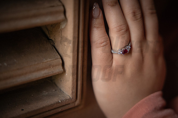 226-Daniel Proposal