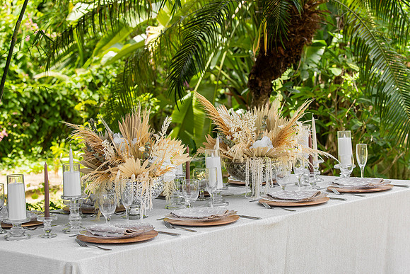 001-Vieques Weddings and Events