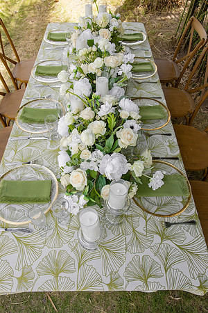 157-Vieques Weddings and Events