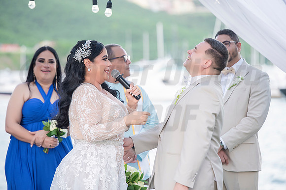 397-Erica Luis Wedding