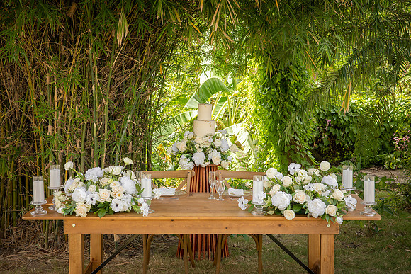 194-Vieques Weddings and Events