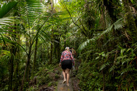 010-Day 2 - Mount Britton + Junglequi-