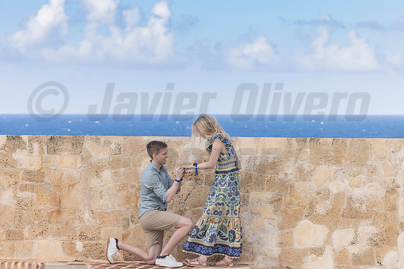 019-Bradley Proposal
