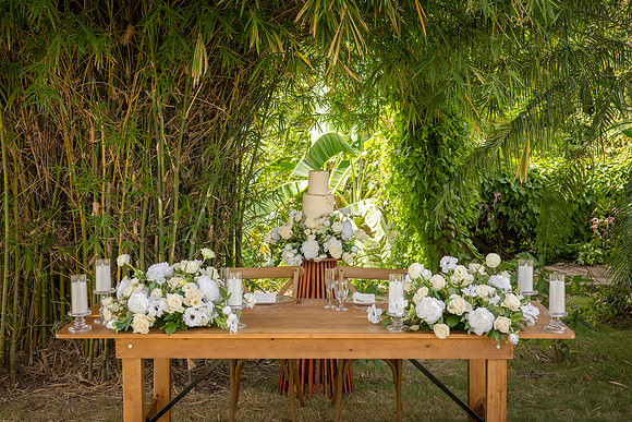 195-Vieques Weddings and Events