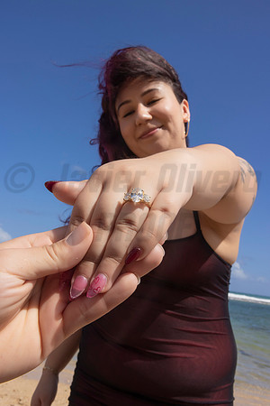 342-Paulina & Brian Proposal