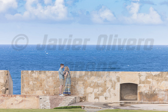 014-Bradley Proposal