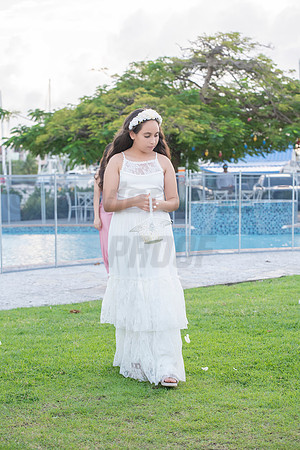 334-Erica Luis Wedding